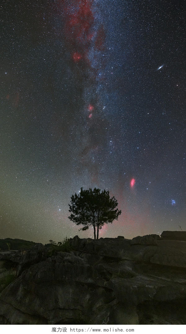 一个孤独的树子下的星空银河尾巴